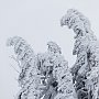 Skitourenwettkampf „Arber- Skitour“ 2014