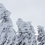 Skitourenwettkampf „Arber- Skitour“ 2014