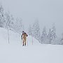 Skitourenwettkampf „Arber- Skitour“ 2014